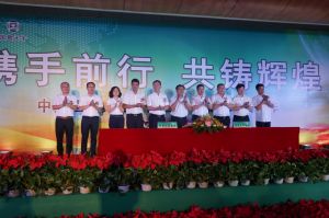 国昌天宇集团债权、债务重组项目