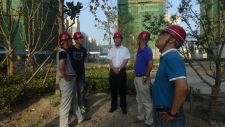 pp电子官方网站登录集团董事长肖厚忠赴凤祥铭居公司检查指导工作